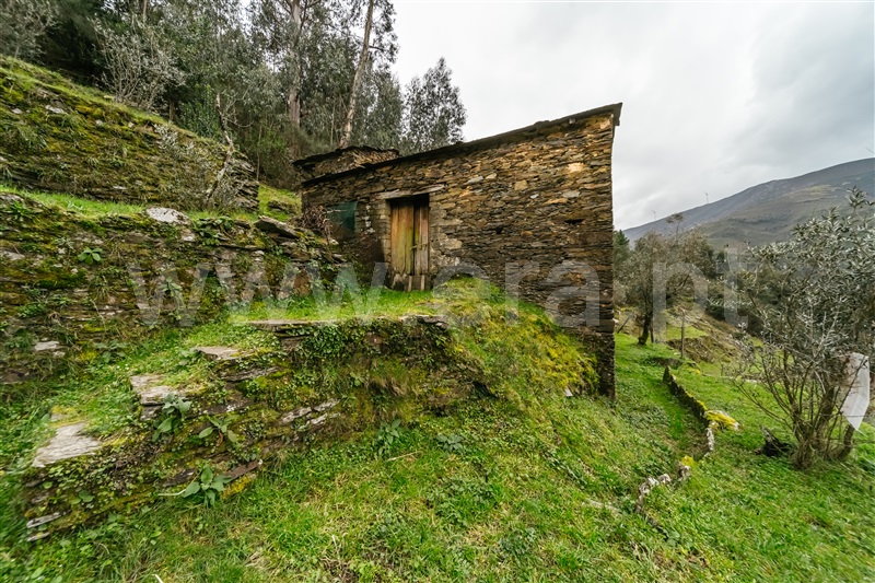 Moradia / Seia, Seia, São Romão e Lapa dos Dinheiros