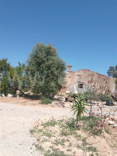 Moradia / Silves, Tunes