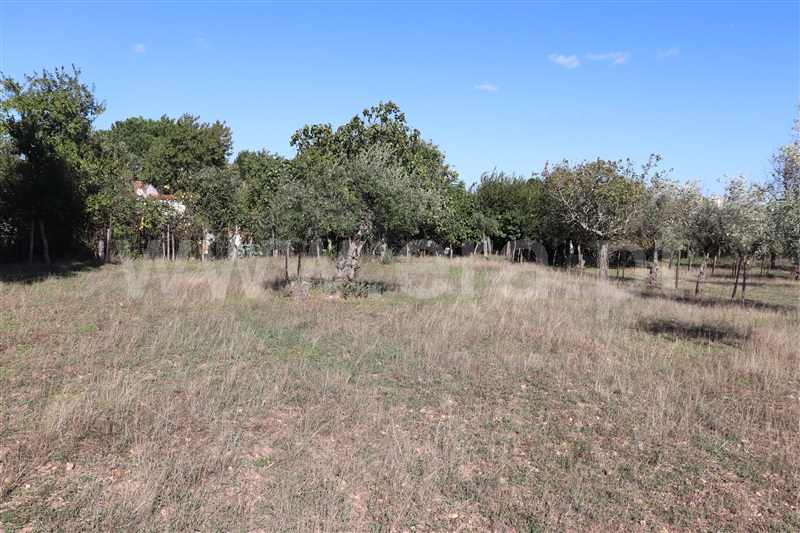 Moradia T1 Abrantes, Chainça - 1276550 - 1