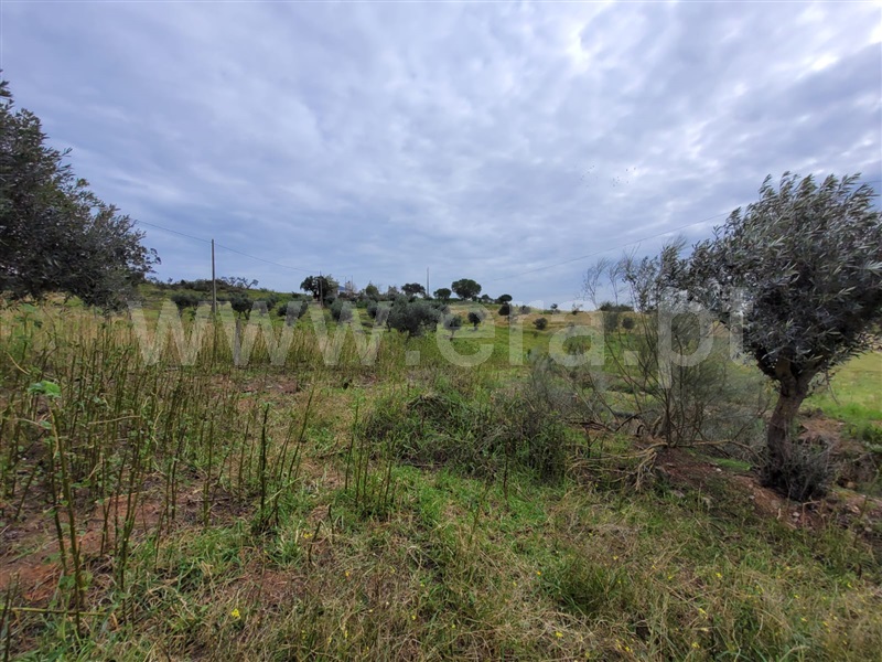 Quinta T1 Alandroal, Alandroal (Nossa Senhora da Conceição), São Brás dos Matos (Mina do Bugalho) e Juromenha (Nossa Senh - 1447061 - 6