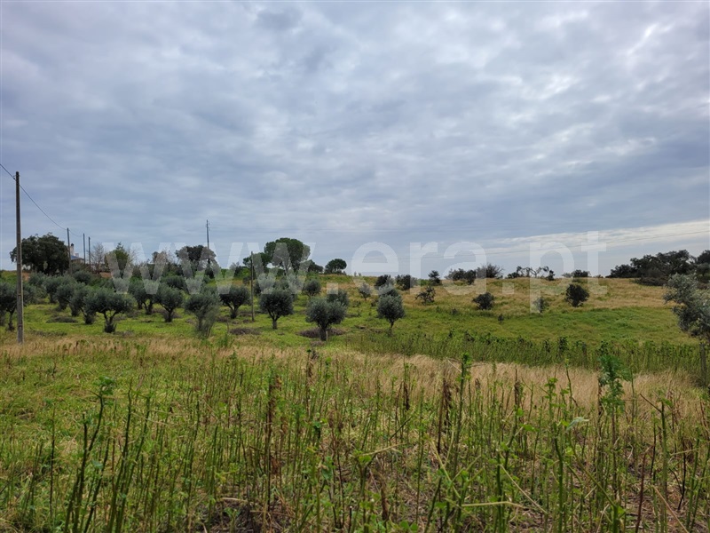 Quinta T1 Alandroal, Alandroal (Nossa Senhora da Conceição), São Brás dos Matos (Mina do Bugalho) e Juromenha (Nossa Senh - 1447061 - 7