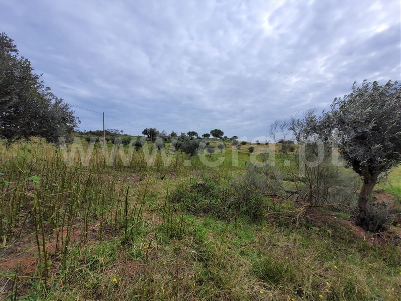 Quinta T1 Alandroal, Alandroal (Nossa Senhora da Conceição), São Brás dos Matos (Mina do Bugalho) e Juromenha (Nossa Senh - 1447061 - 10