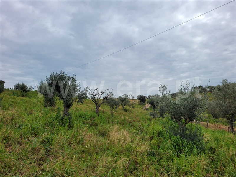 Quinta T1 Alandroal, Alandroal (Nossa Senhora da Conceição), São Brás dos Matos (Mina do Bugalho) e Juromenha (Nossa Senh - 1447061 - 16