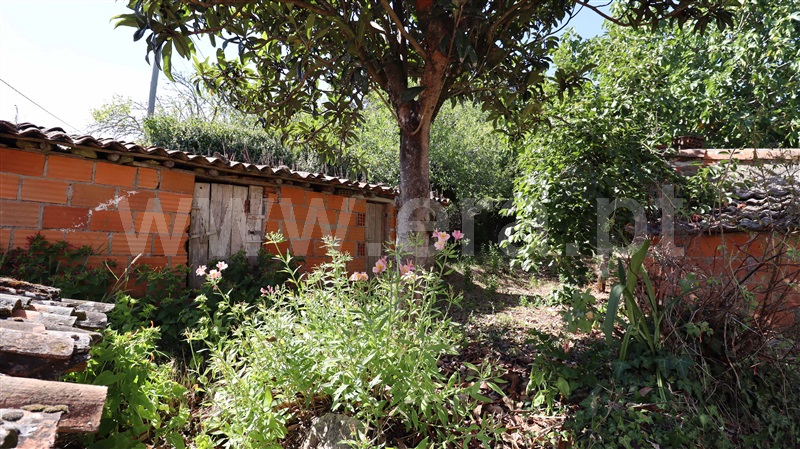Moradia T1 à venda em Almoster, Alvaiázere — foto 13