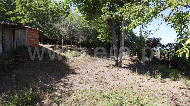 Moradia T1 à venda em Almoster, Alvaiázere — foto 15