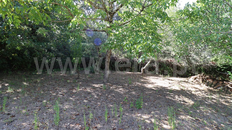 Moradia T1 à venda em Almoster, Alvaiázere — foto 17