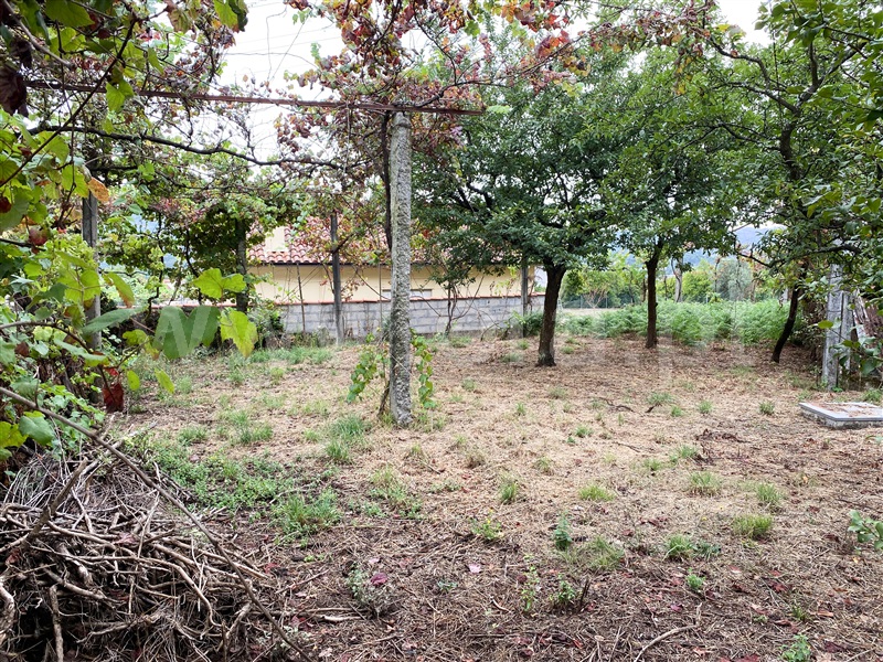 Moradia T1 Amares, Ferreiros, Prozelo e Besteiros - 1113375 - 3