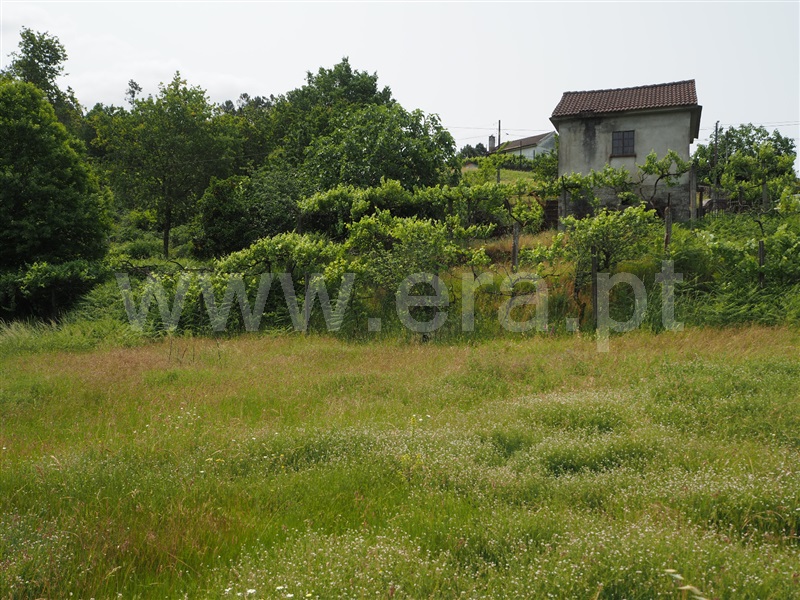 Moradia T1 / Arcos de Valdevez, Grade e Carralcova