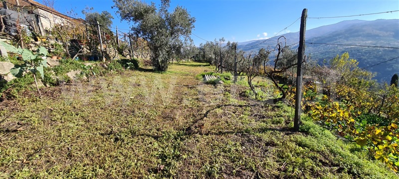 Moradia T1 Baião, Ancede e Ribadouro - 1292980 - 4