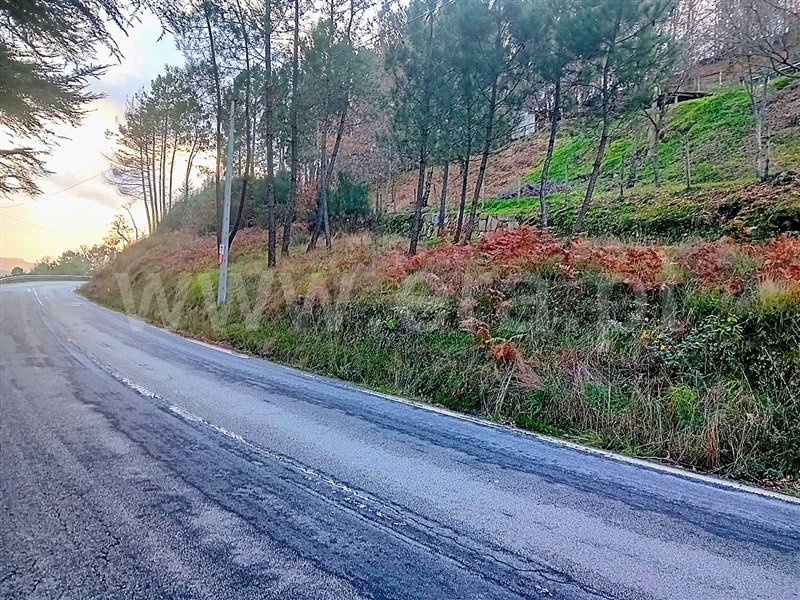 Moradia T1 à venda em Campelo e Ovil, Baião — foto 6