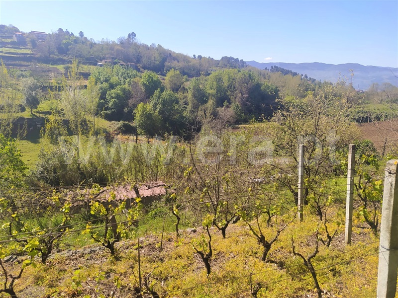 Moradia T1 à venda em Gestaçô, Baião — foto 2