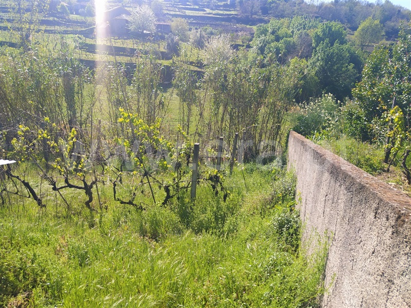 Moradia T1 à venda em Gestaçô, Baião — foto 3