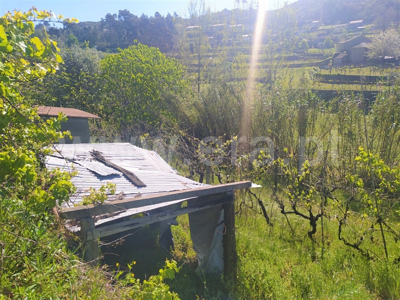 Moradia T1 à venda em Gestaçô, Baião — foto 4