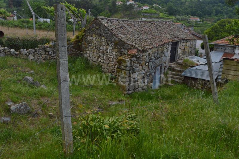 Moradia T1 / Baião, Grilo