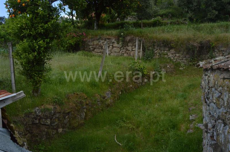 Moradia T1 Baião, Grilo - 821167 - 6