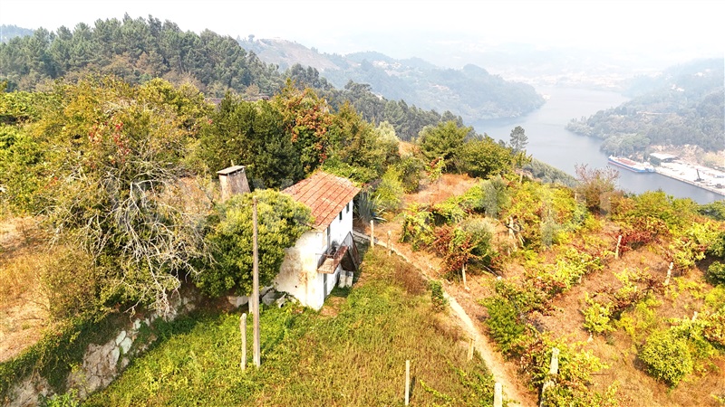 Moradia  Castelo de Paiva, Sobrado e Bairros - 1433923 - 9