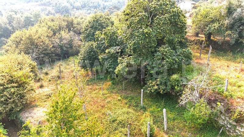 Moradia  Castelo de Paiva, Sobrado e Bairros - 1433923 - 10
