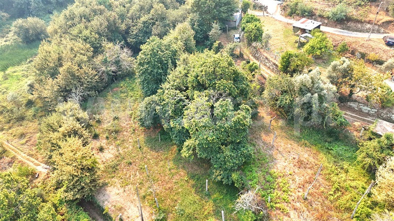 Moradia  Castelo de Paiva, Sobrado e Bairros - 1433923 - 11