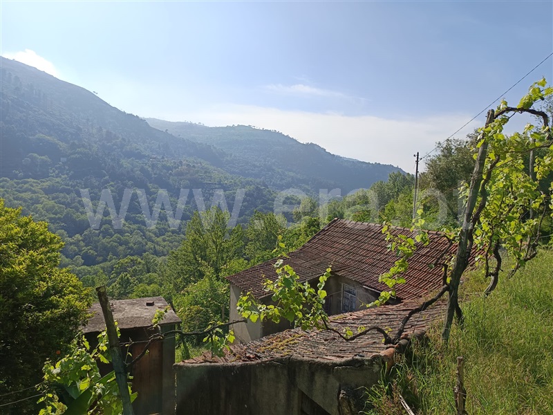 Moradia T1 Cinfães, Ferreiros de Tendais - 1406434 - 3