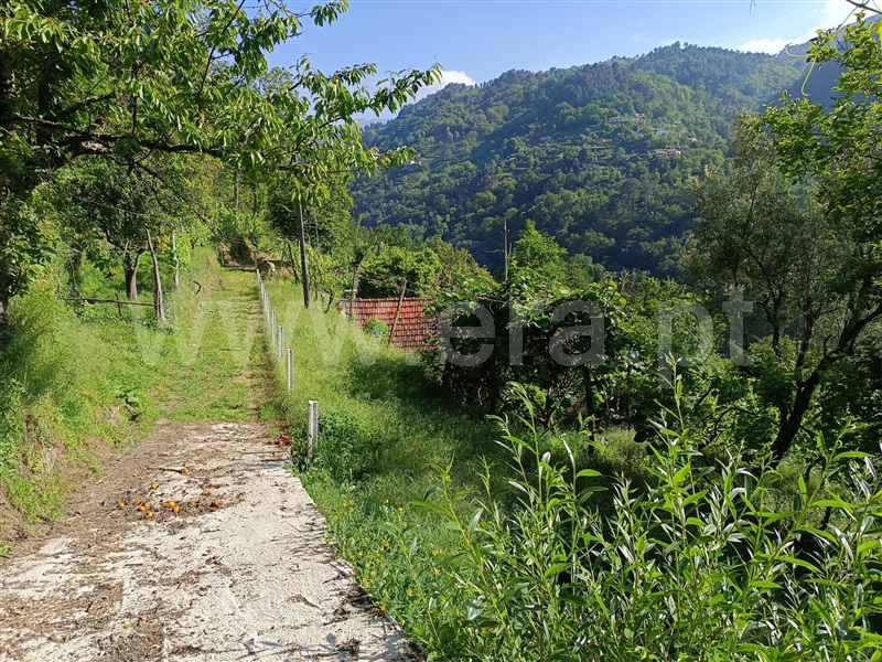Moradia T1 Cinfães, Ferreiros de Tendais - 1406434 - 6