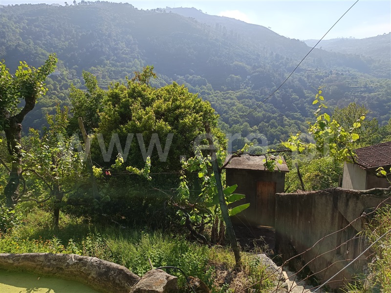 Moradia T1 Cinfães, Ferreiros de Tendais - 1406434 - 7