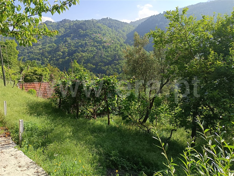 Moradia T1 Cinfães, Ferreiros de Tendais - 1406434 - 10