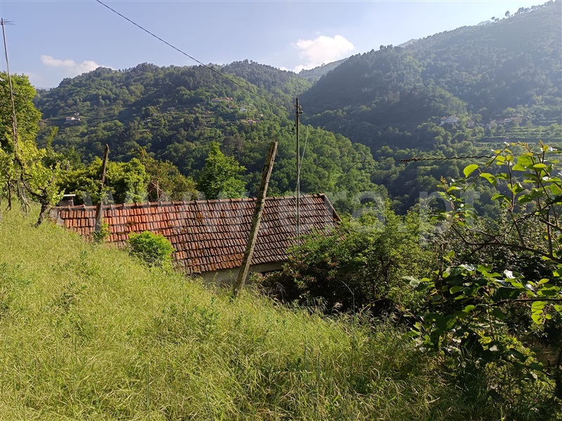 Moradia T1 Cinfães, Ferreiros de Tendais - 1406434 - 11