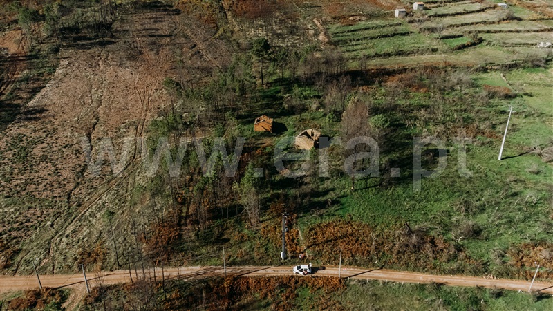 Moradia T1 com Terreno Covilhã, Serra da Estrela - 1358574 - 4