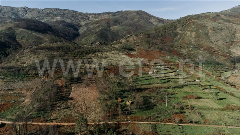 Moradia T1 com Terreno Covilhã, Serra da Estrela - 1358574 - 5
