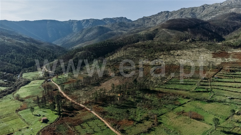 Moradia T1 com Terreno Covilhã, Serra da Estrela - 1358574 - 6