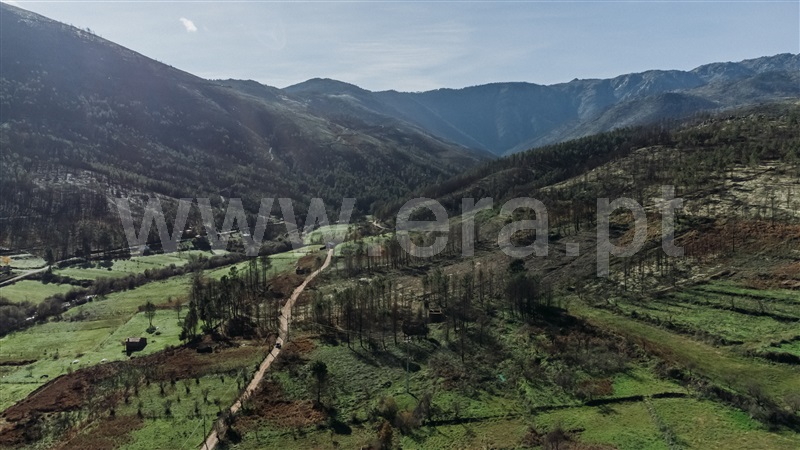 Moradia T1 com Terreno Covilhã, Serra da Estrela - 1358574 - 7