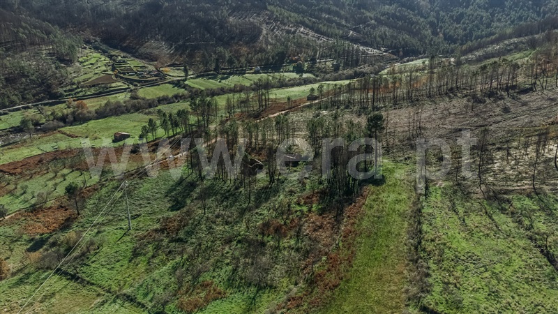 Moradia T1 com Terreno Covilhã, Serra da Estrela - 1358574 - 8