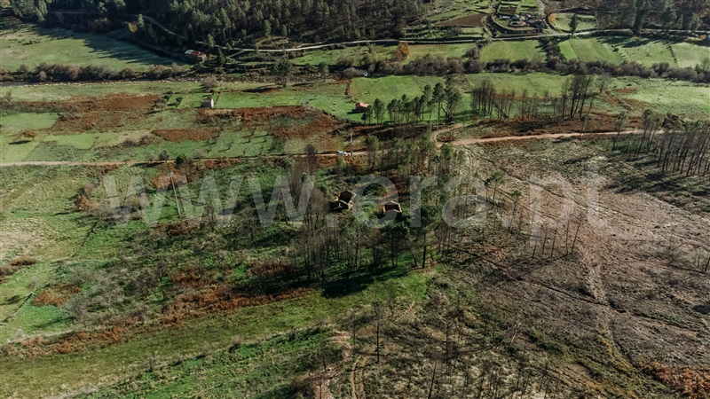Moradia T1 com Terreno Covilhã, Serra da Estrela - 1358574 - 9
