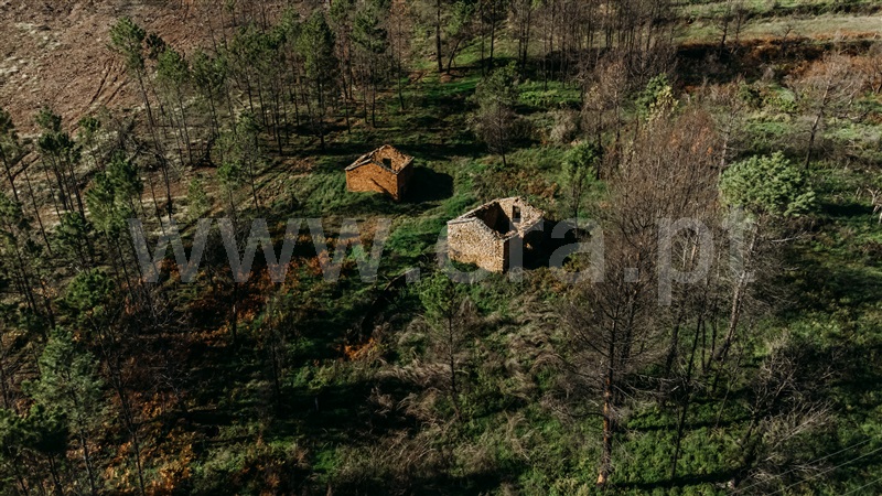 Moradia T1 com Terreno Covilhã, Serra da Estrela - 1358574 - 14