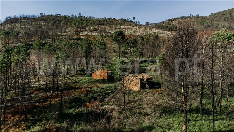 Moradia T1 com Terreno Covilhã, Serra da Estrela - 1358574 - 15
