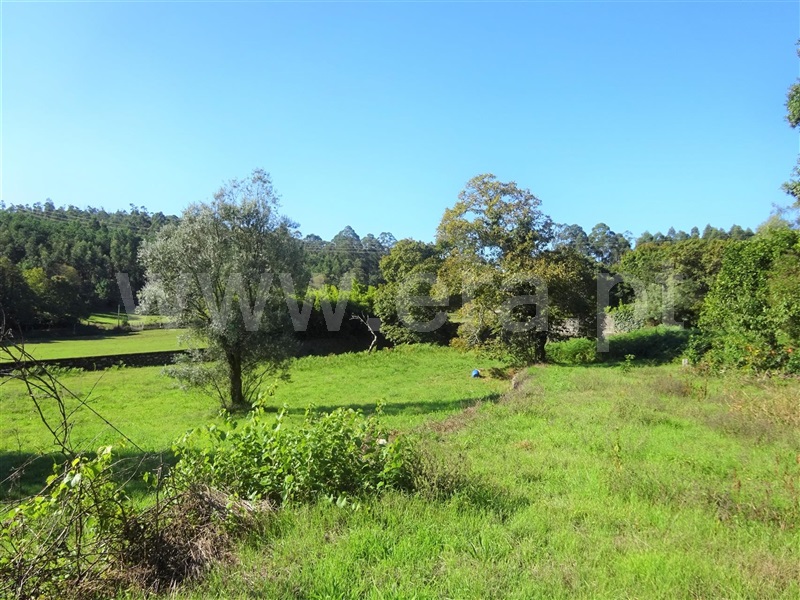 Moradia T1 Esposende, Palmeira de Faro - 1122544 - 9