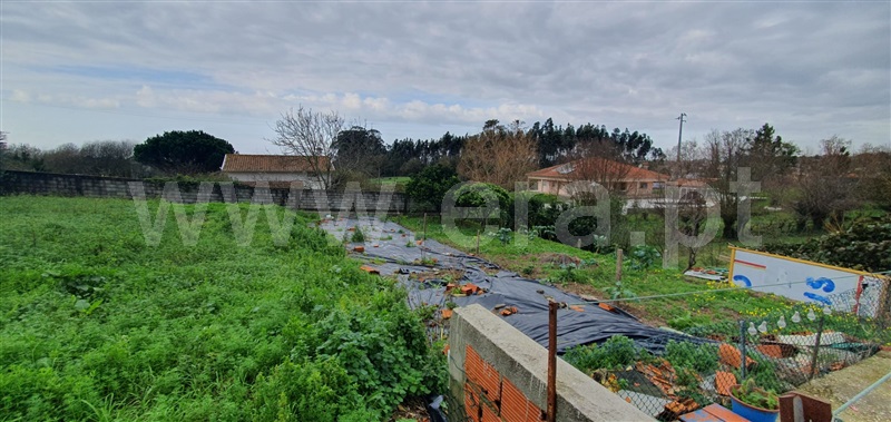 Moradia T1 Estarreja, Canelas e Fermelã - 1479217 - 13