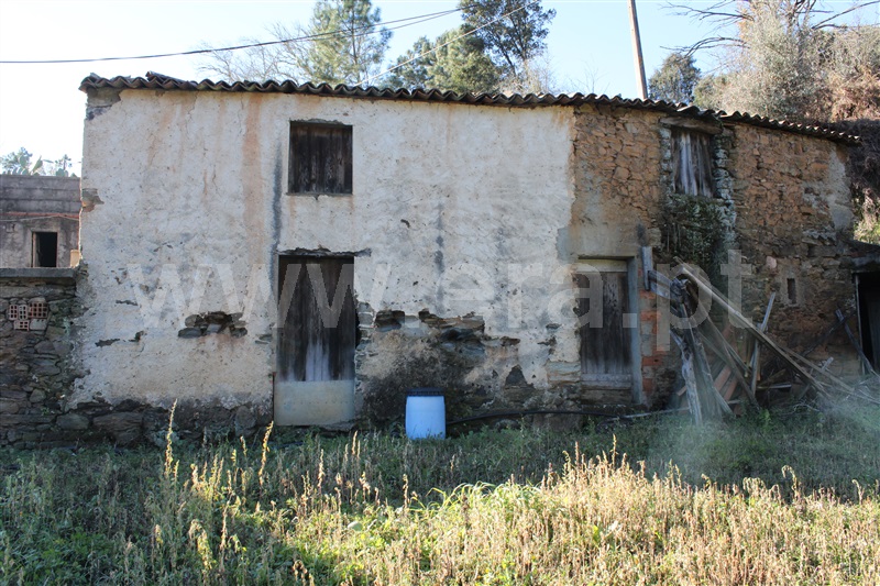 Moradia T1 Figueiró dos Vinhos, Arega - 1143642 - 3