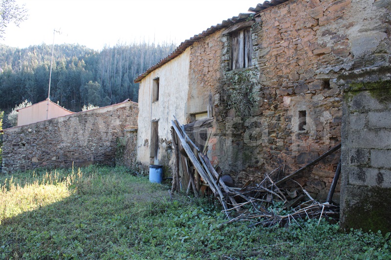 Moradia T1 Figueiró dos Vinhos, Arega - 1143642 - 4