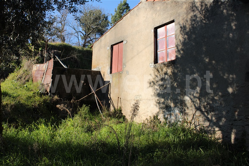 Moradia T1 Figueiró dos Vinhos, Arega - 1143642 - 6