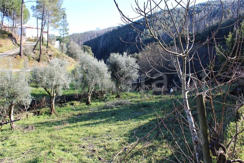Moradia T1 Figueiró dos Vinhos, Arega - 1143642 - 7