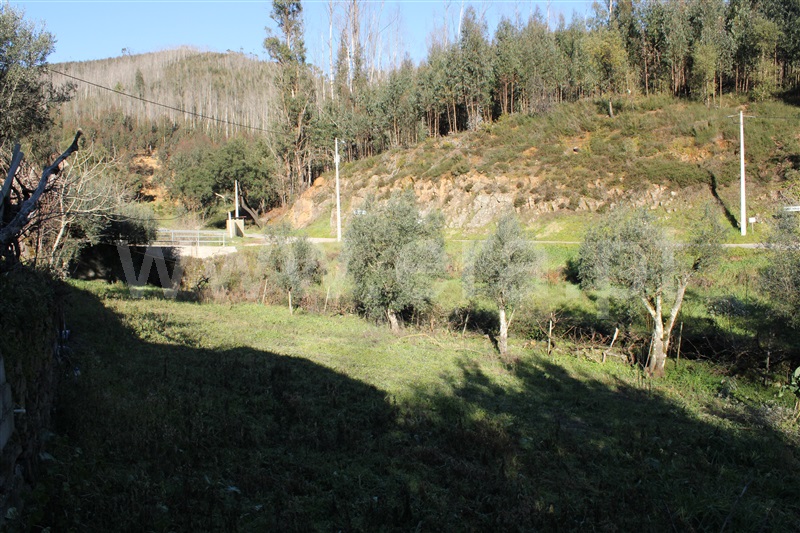 Moradia T1 Figueiró dos Vinhos, Arega - 1143642 - 8