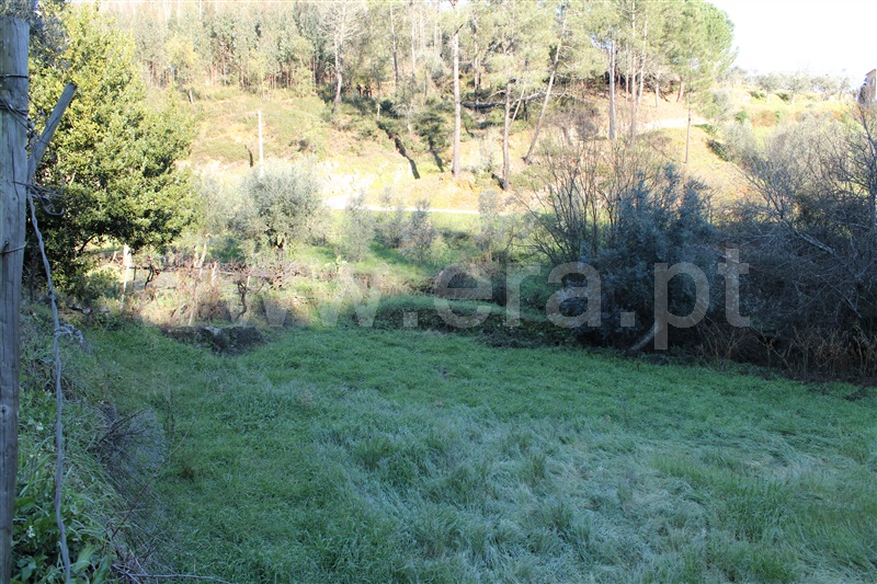 Moradia T1 Figueiró dos Vinhos, Arega - 1143642 - 9