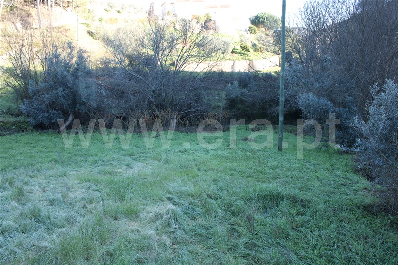 Moradia T1 Figueiró dos Vinhos, Arega - 1143642 - 10