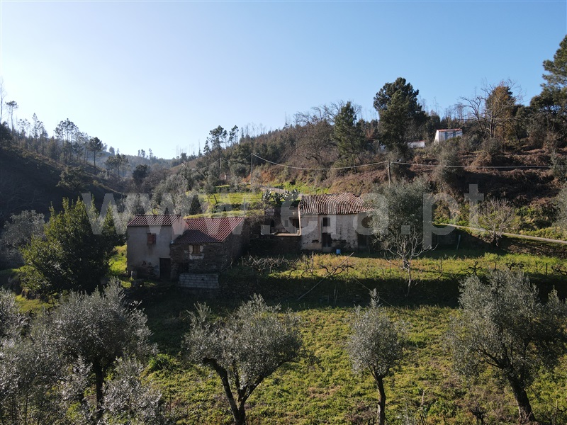 Moradia T1 Figueiró dos Vinhos, Arega - 1143642 - 11