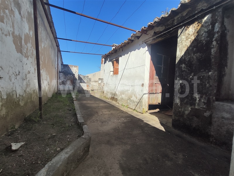 Moradia T1 Golegã, Azinhaga - 1398302 - 3