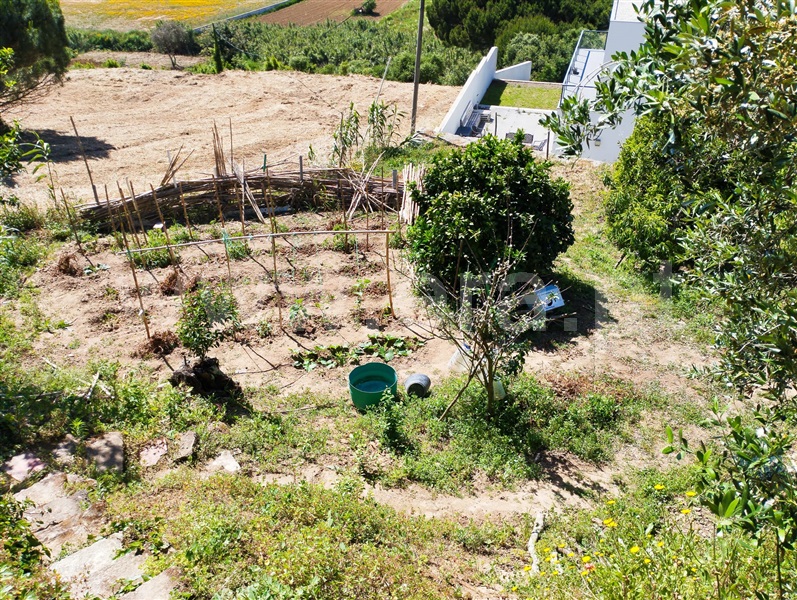 Moradia T1 Lourinhã, Nadrupe - 1404035 - 6