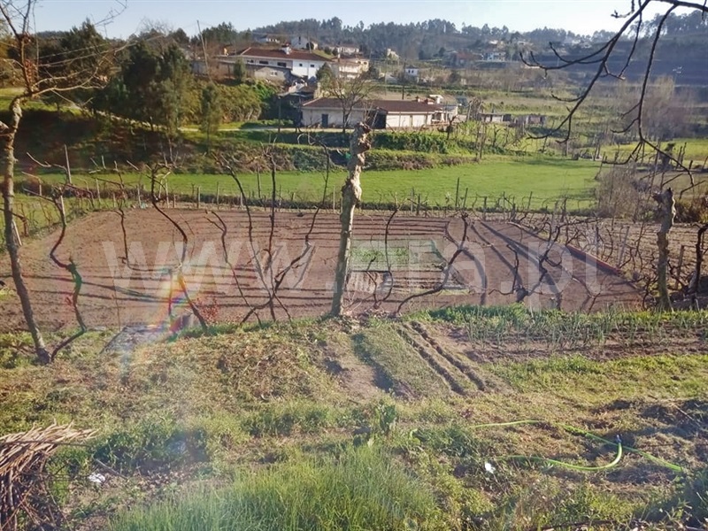 Moradia T1 Marco de Canaveses, Constance - 991842 - 2