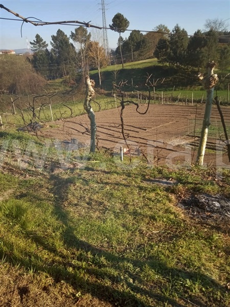 Moradia T1 Marco de Canaveses, Constance - 991842 - 4