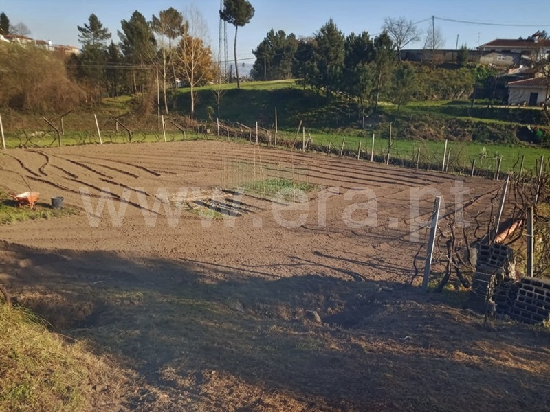 Moradia T1 Marco de Canaveses, Constance - 991842 - 5
